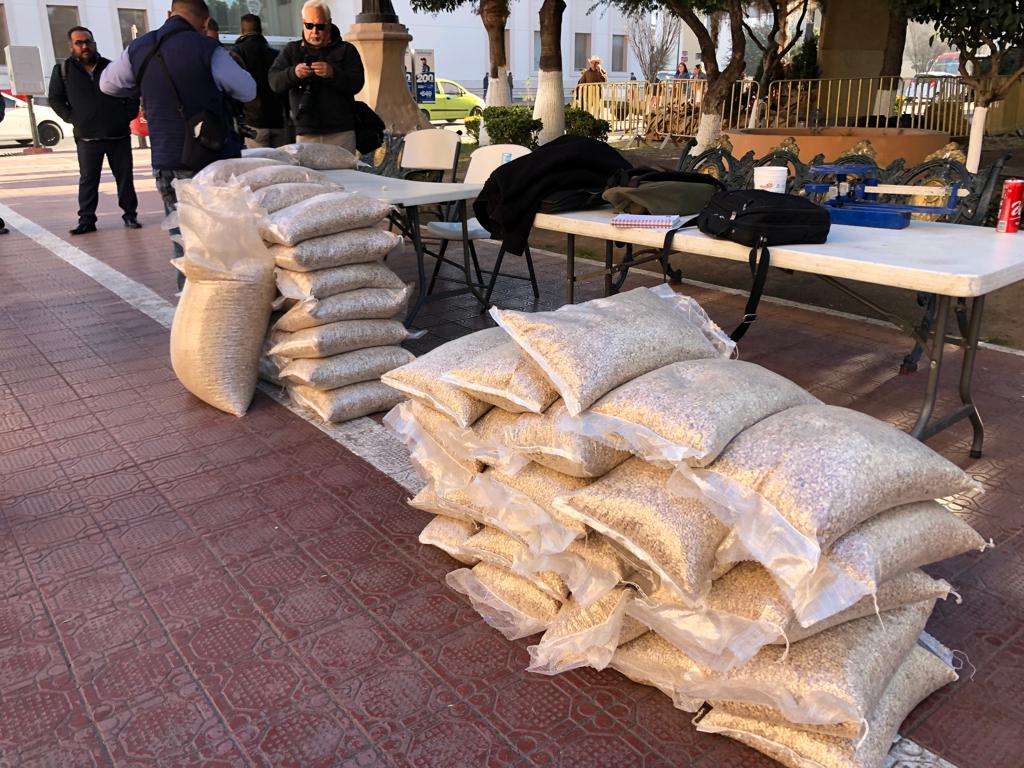 Del campo a la ciudad Productores venden frijol a 25 pesos el kilo en la Plaza Hidalgo thumbnail