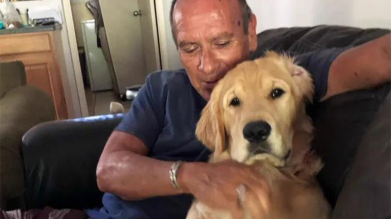 Hombre sacrifica su vida para salvar a su mascota en incendios de Hawái thumbnail