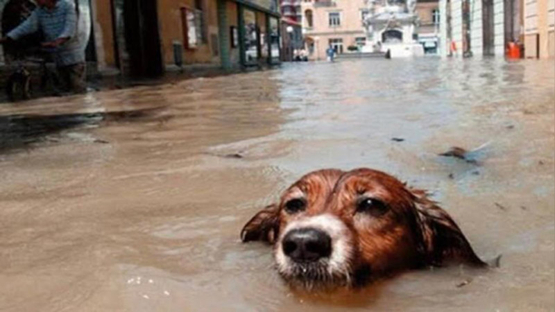 Perú declara estado de emergencia por ciclón Yaku thumbnail