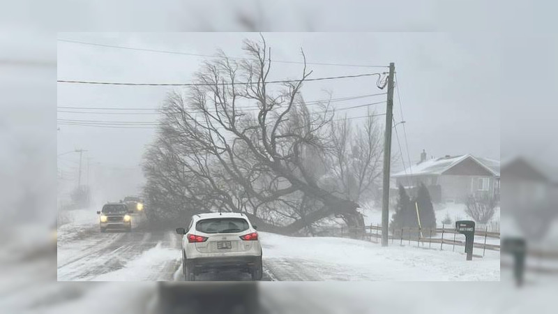 Tormentas dejan 4 desaparecidos en el este de Canadá; dos son niños thumbnail