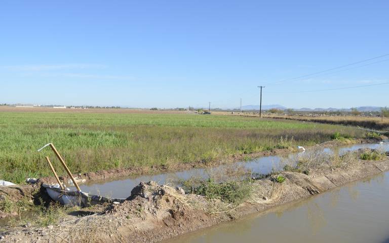 Vaticinan crisis del sector agropecuario en 2024 thumbnail