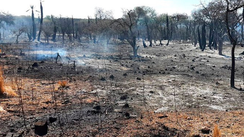 Incendios forestales azotan la provincia argentina de Córdoba thumbnail