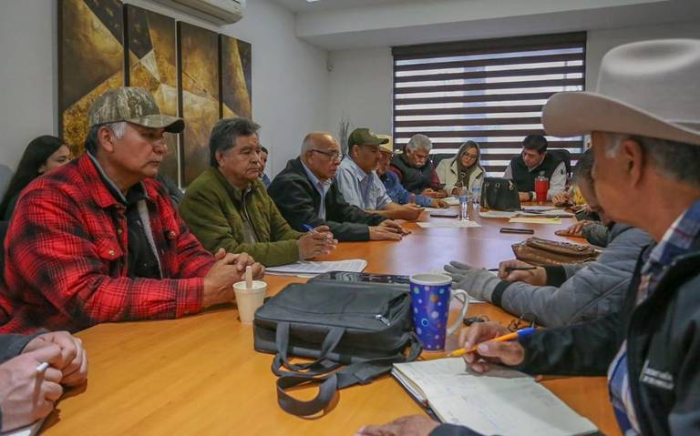 Apicultores y autoridades realizan mesa de trabajo para abordar tema de mortandad de las abejas thumbnail
