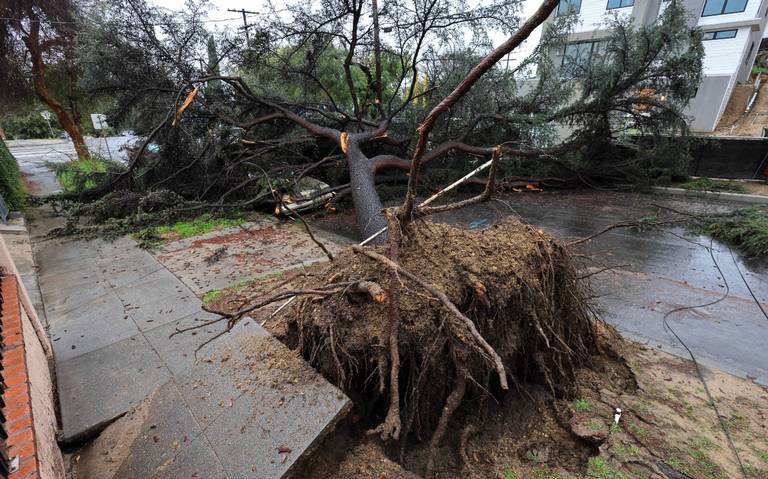 Tormenta en California deja sin electricidad a más de 500 mil personas thumbnail