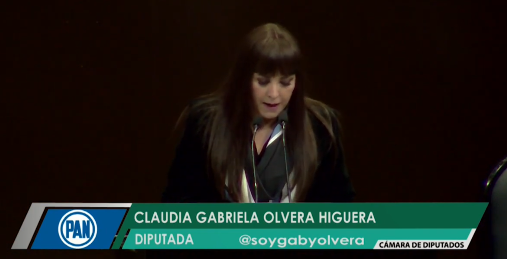 2Dip._Claudia_Gabriela_Olvera_Higuera_PAN_Efeméride_con_motivo_de_la_Batalla_ thumbnail