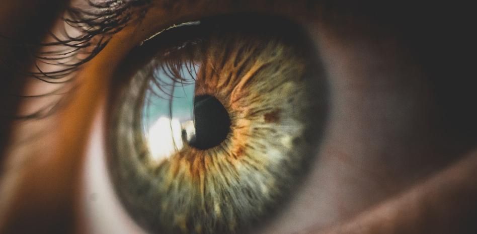 Medidas preventivas de salud visual ayudan a disminuir hasta 50% resequedad ocular thumbnail