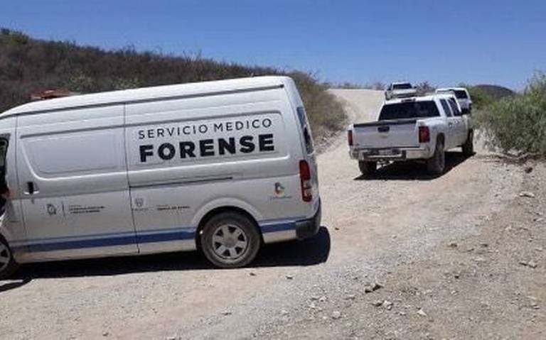 Forense thumbnail