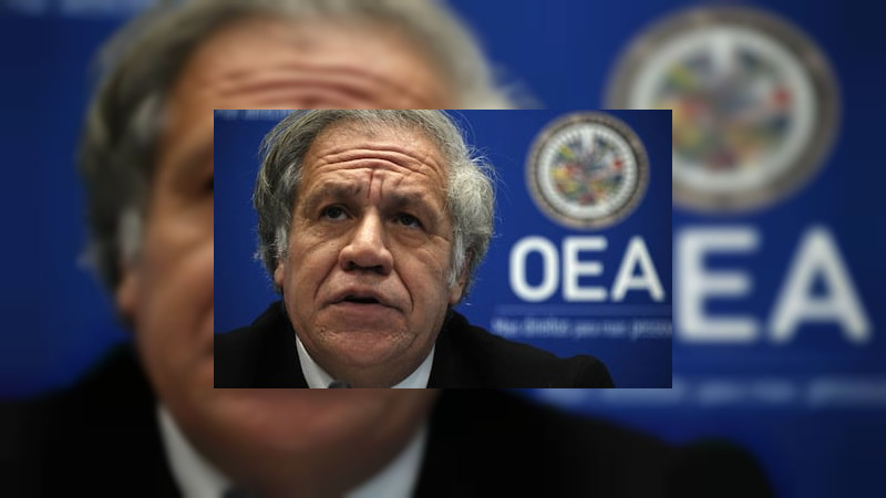 0-grande (2) thumbnail
