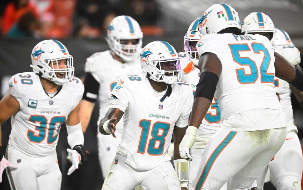 dolphins-JWKNQhuf9 thumbnail