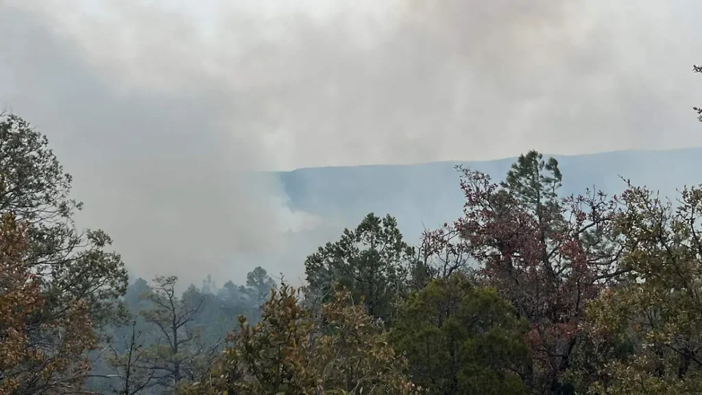 incendios forestales conafor4 thumbnail