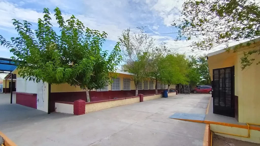Reforestan escuelas de Juárez con apoyo del Club Rotario y padres de familia thumbnail