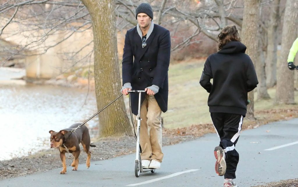 perra-tom-brady-VhmLwOCBi thumbnail